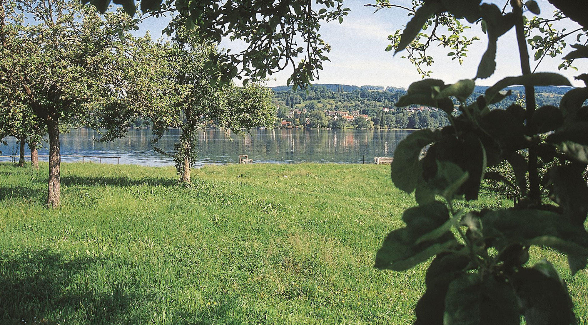 Gasthof & Hotel zum Schiff, Seestrasse 3 in Mammern