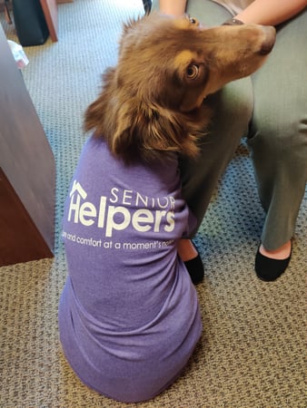 Images Senior Helpers