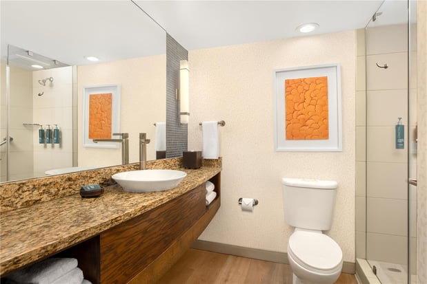 Images Hilton Palacio del Rio