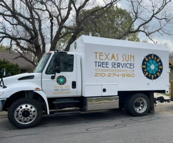Images Texas Sun Tree Services
