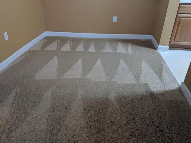 Images Professional Green Cleaners