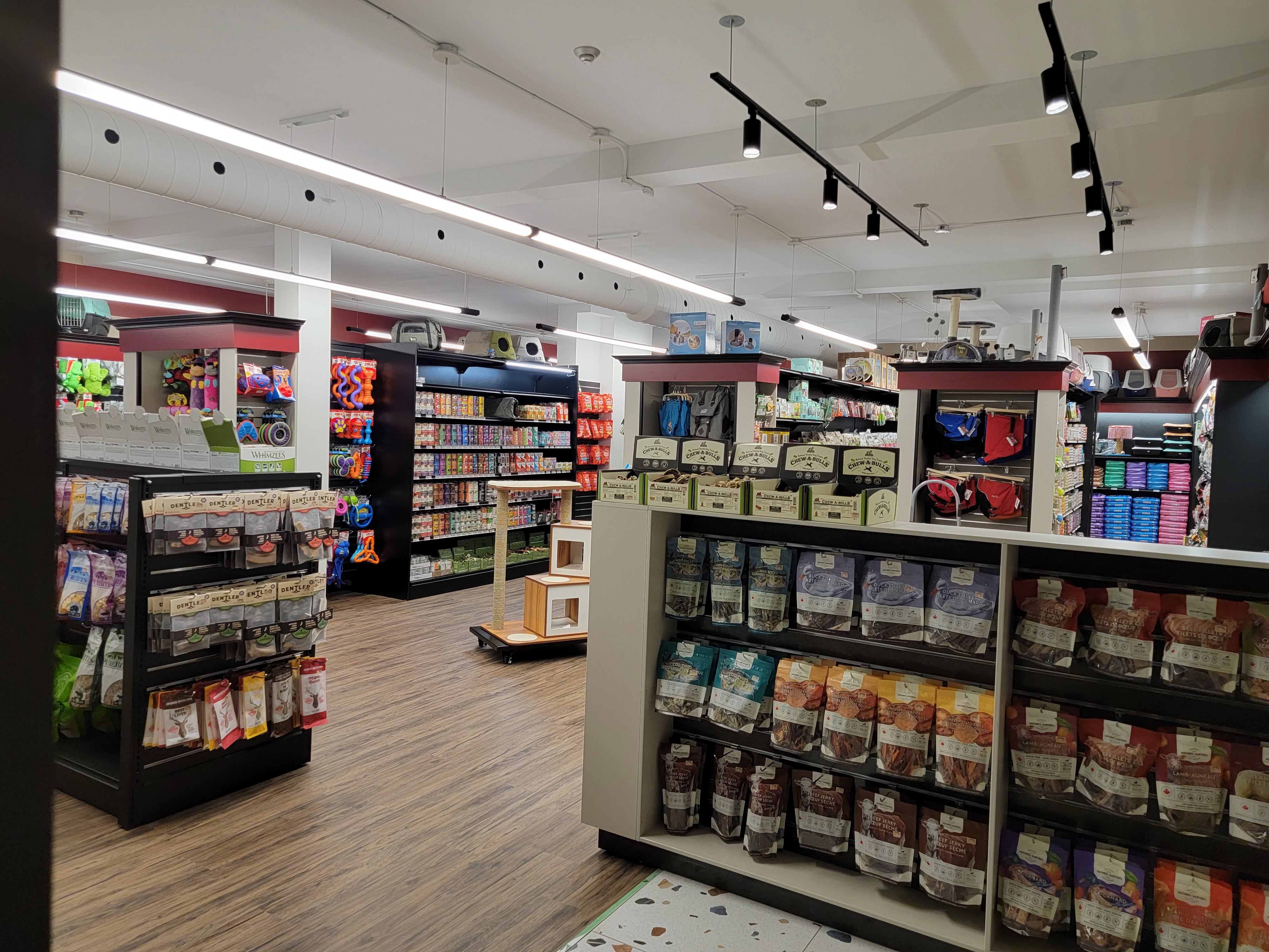 Images Pitou Minou & Compagnons Westmount