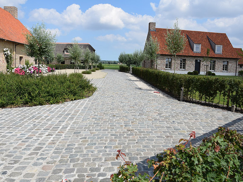 Images Meyers Ewout BVBA