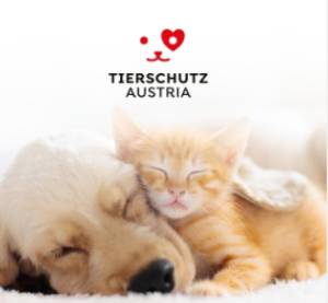 RRP GmbH, Tuchlauben 7a in Wien