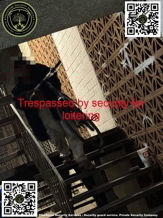 Images TreeStone Security Services