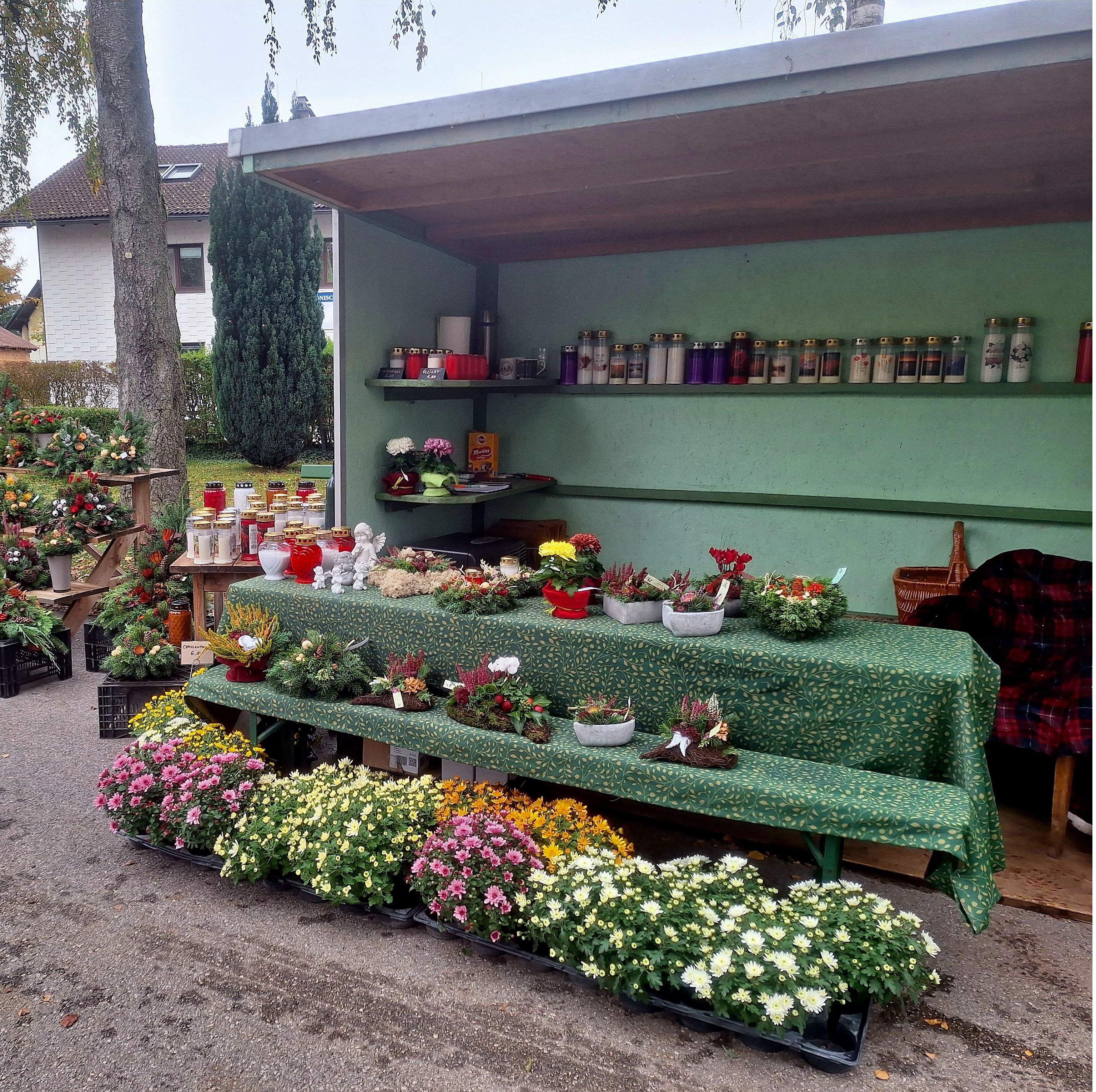 Bild 47 von Grün-Zone