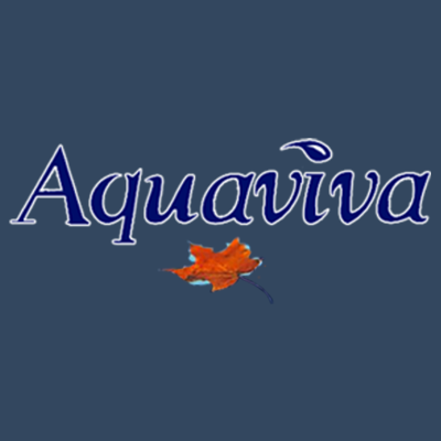 Aquaviva Pool Cleaning