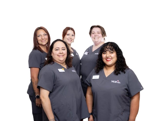 Images VCA Veterinary Hospital of Leon Springs