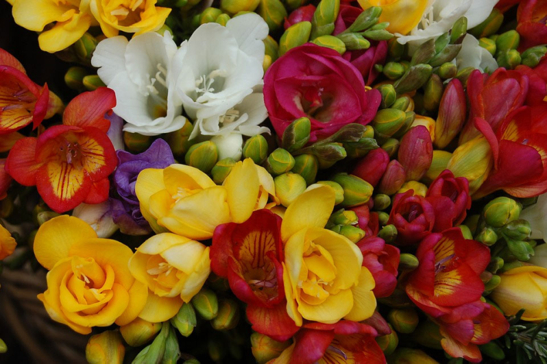 Images Flor Market