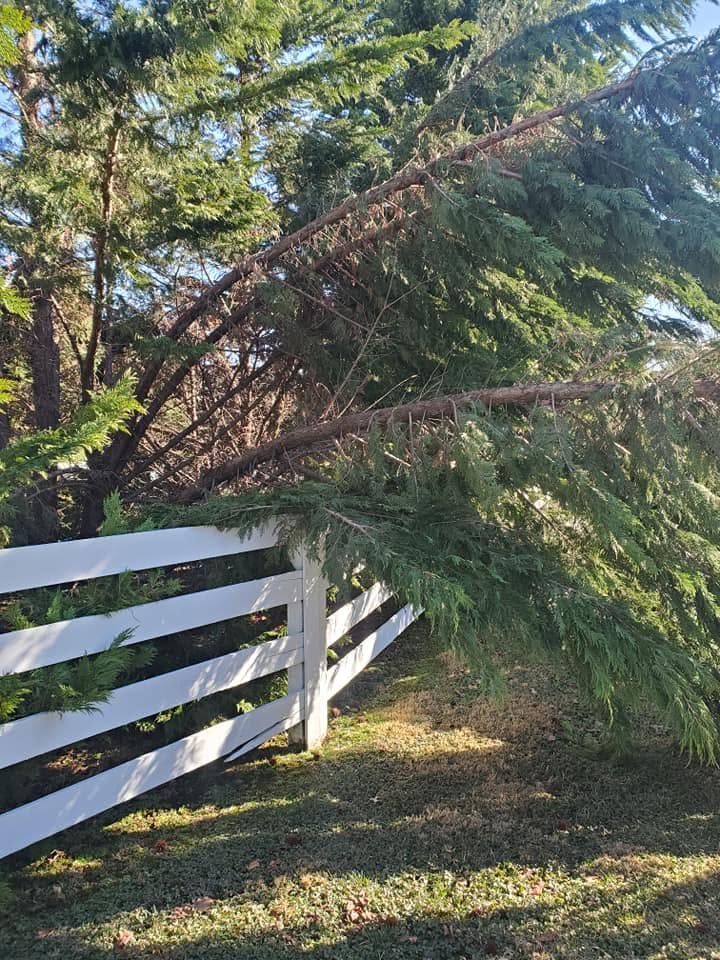 Darbie's Tree Service