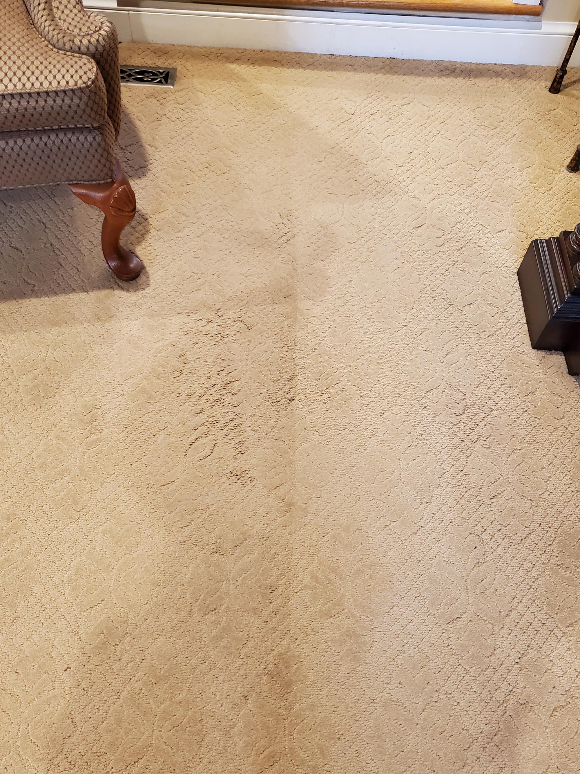 Before and after carpet cleaning in Severna Park