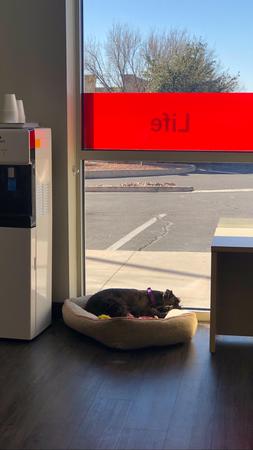 Images Joe Andrus - State Farm Insurance Agent