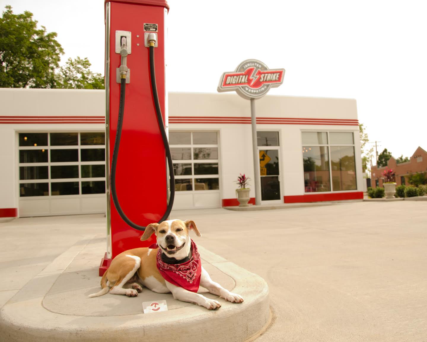 Exterior view of Digital Strike- Targeted Marketing office building with dog