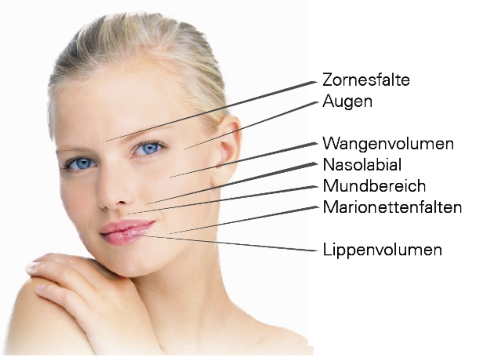 Novenia forever young, Frankenstrasse 3 in Luzern