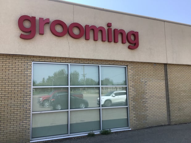 Images Petco Grooming