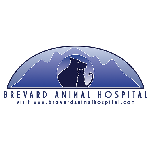 Brevard Animal Hospital
