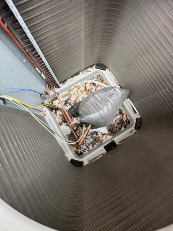 Images Efficient Systems, Inc.