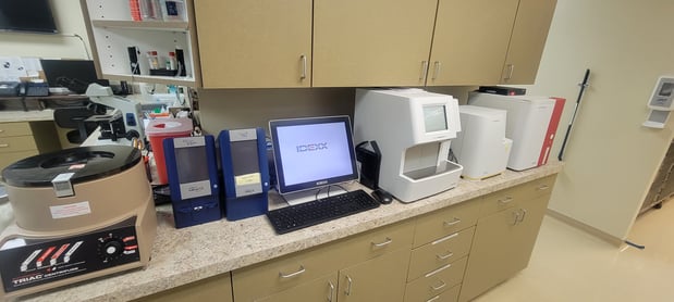 Images VCA Prestonwood Animal Hospital