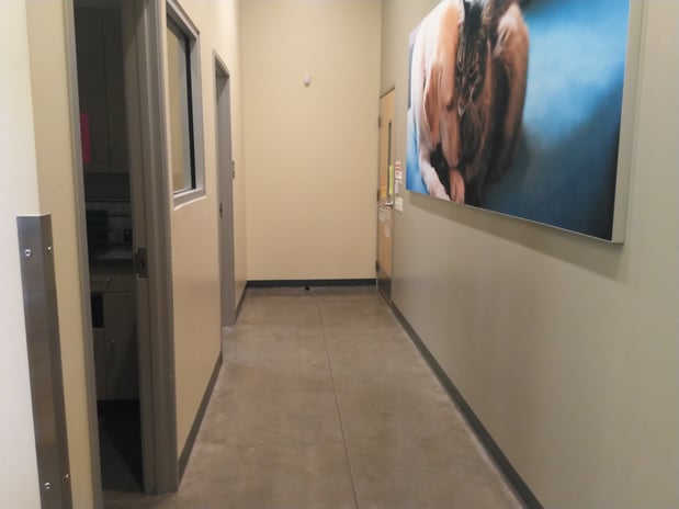 Images Vetco Total Care Animal Hospital