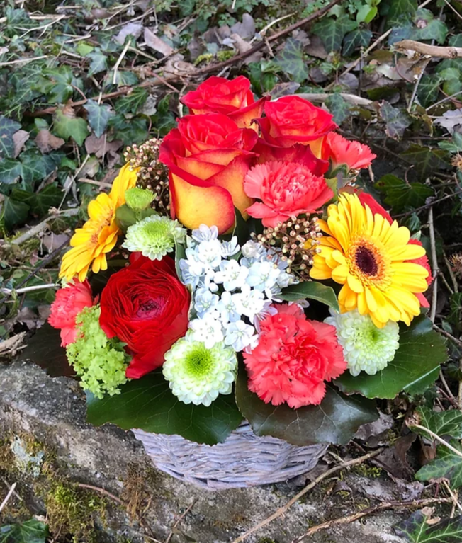 Bilder Blumen P. Gätzi