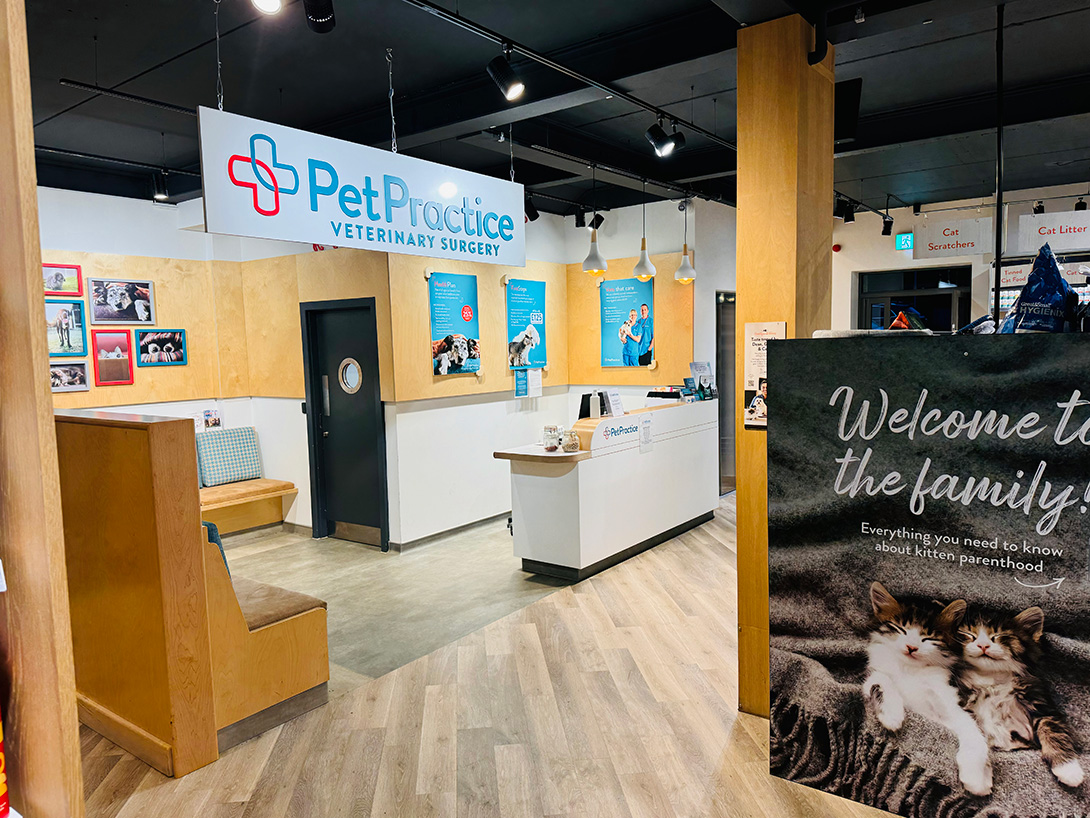 Pet Practice Billingshurst Interior