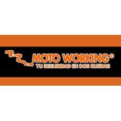 Moto Working Logo