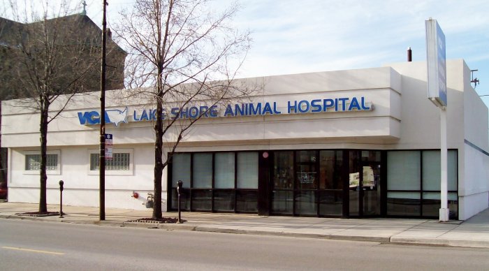 VCA Lake Shore Animal Hospital Chicago (312)967-7817