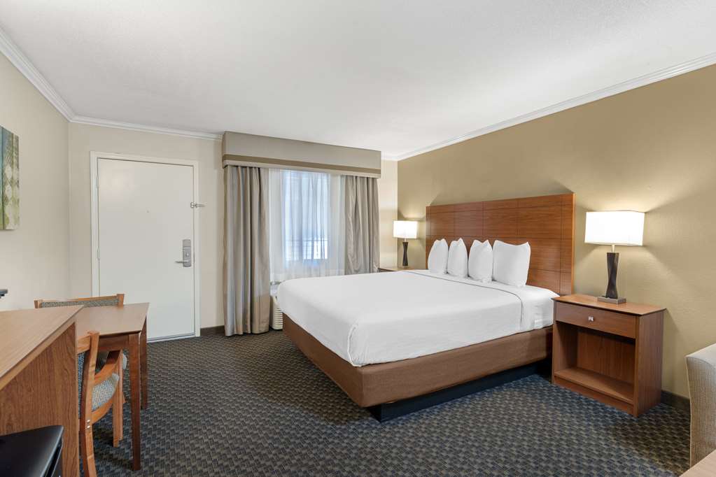 King Room