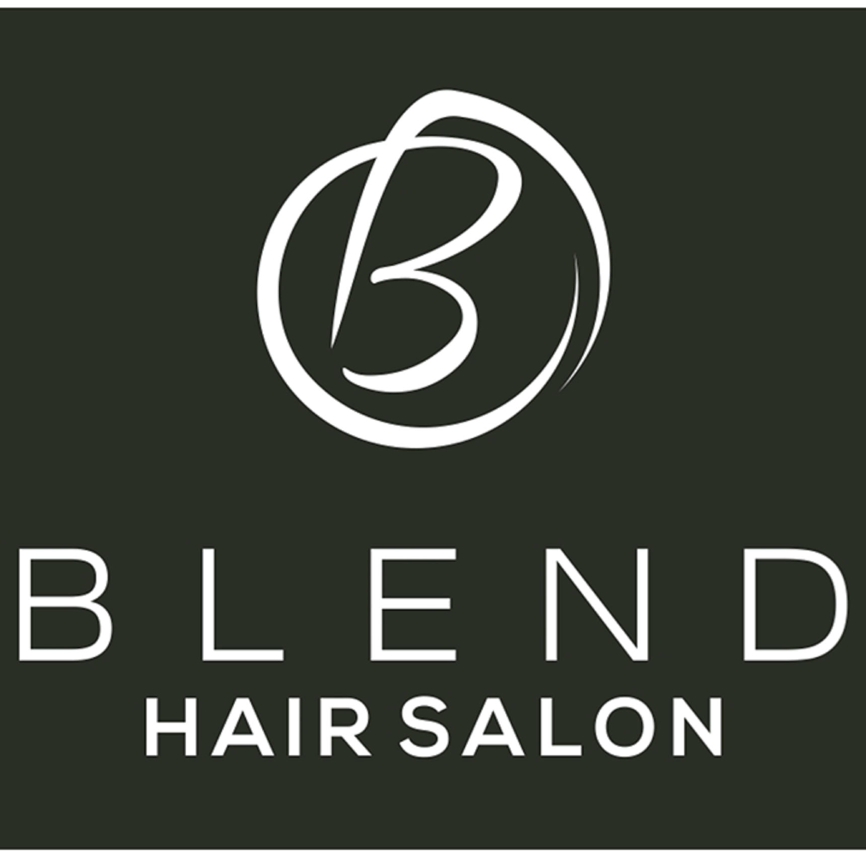 Blend Hair Salon Logo
