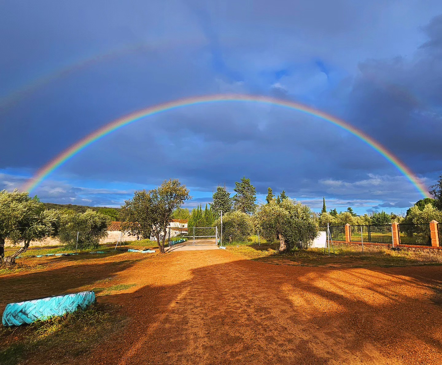 Images Camping La Tabla de la Yedra- Campamento Albergue La Tabla de la Yedra - Restaurante Terraza La Tabla de la Yedra