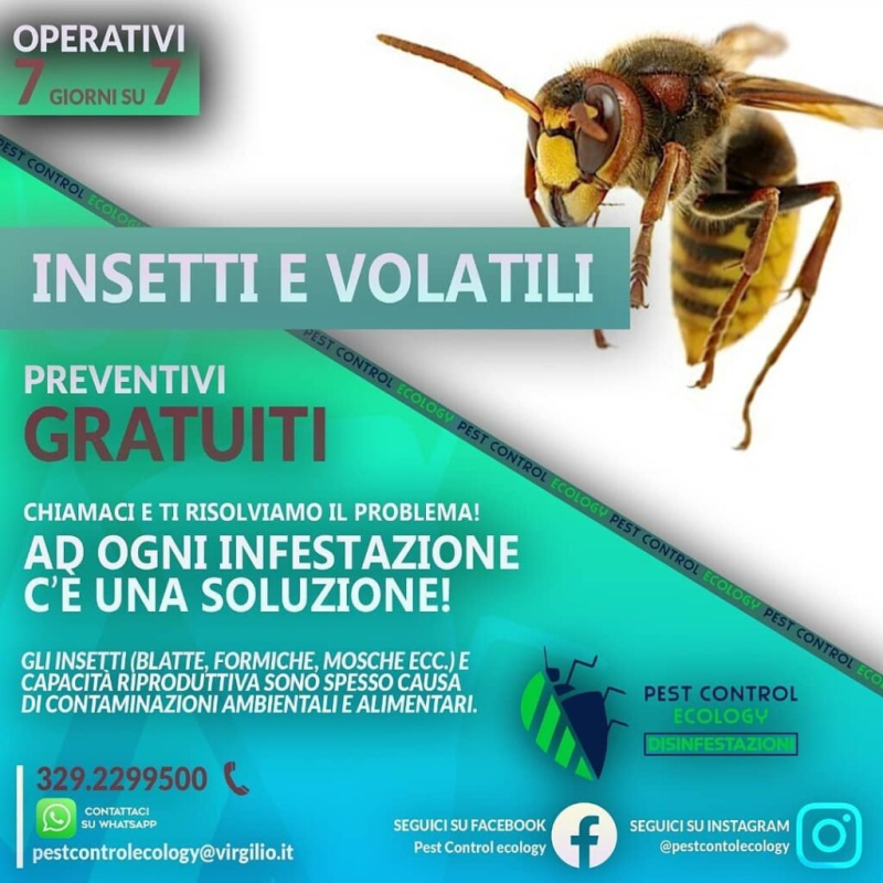 Images Pest Control Ecology Caserta