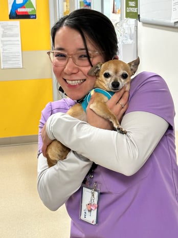 Images VCA West Los Angeles Animal Hospital