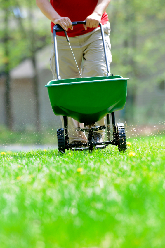 King Lawn Care Maintenance In Augusta Ga 30907 For Maps And Directions To King Lawn Care Maintenance View The Map Right Reviews Of See Below