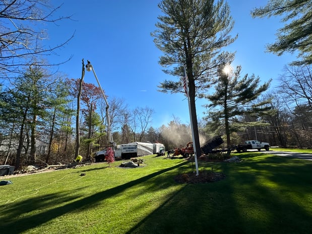 Images Joe's Tree Service, LLC