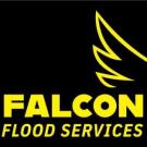 Falcon Flood Services Logo