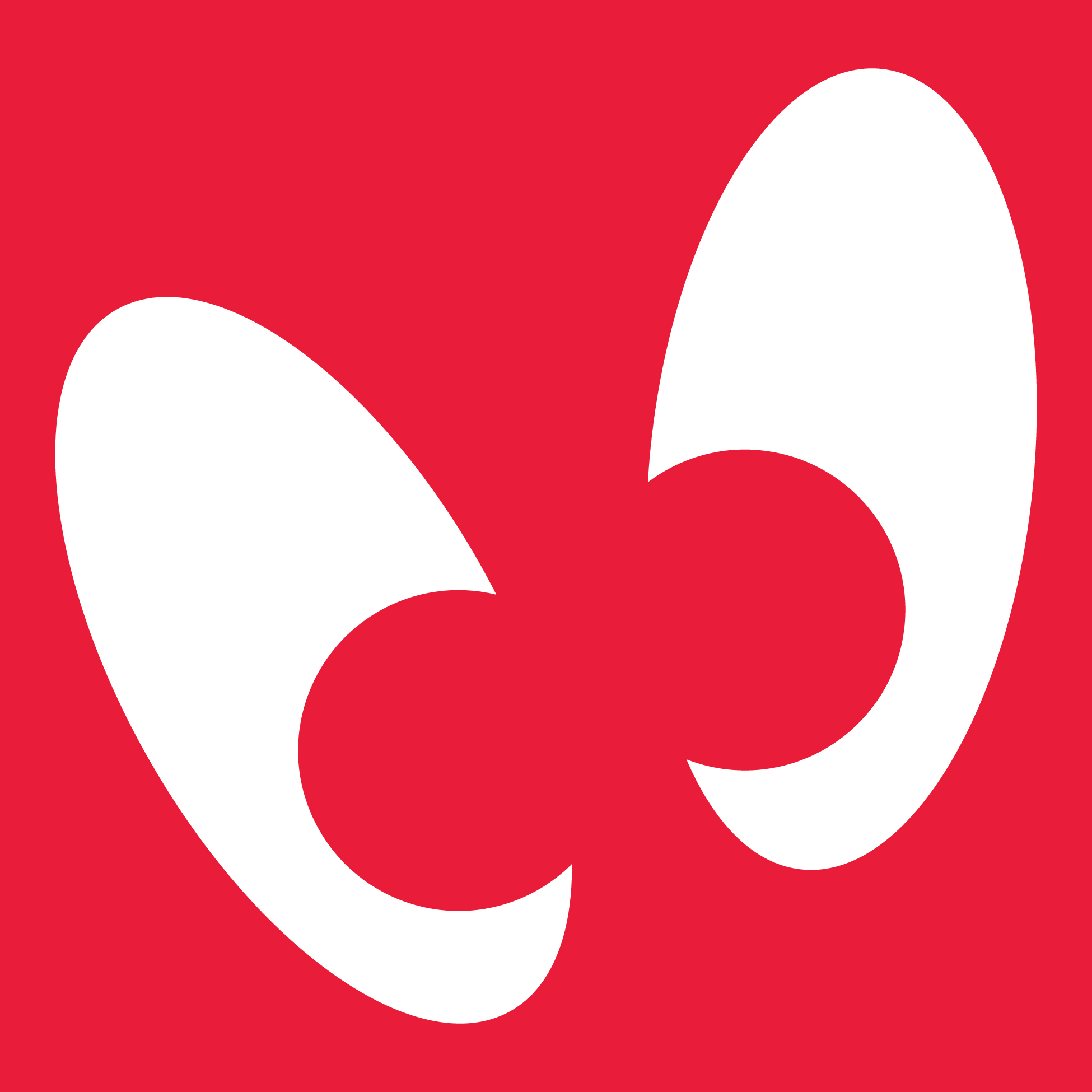 Mayniax Branding