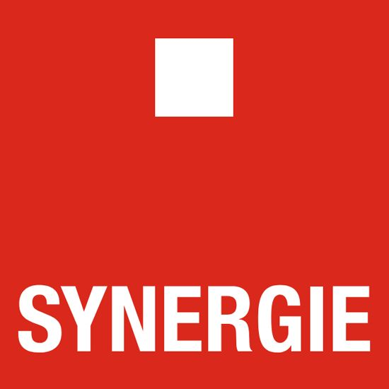 Synergie Personal in Bad Kreuznach - Logo