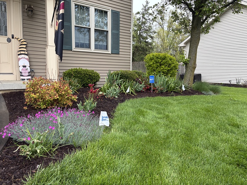 Invisible Fence® newly installed in Carroll County, Ohio