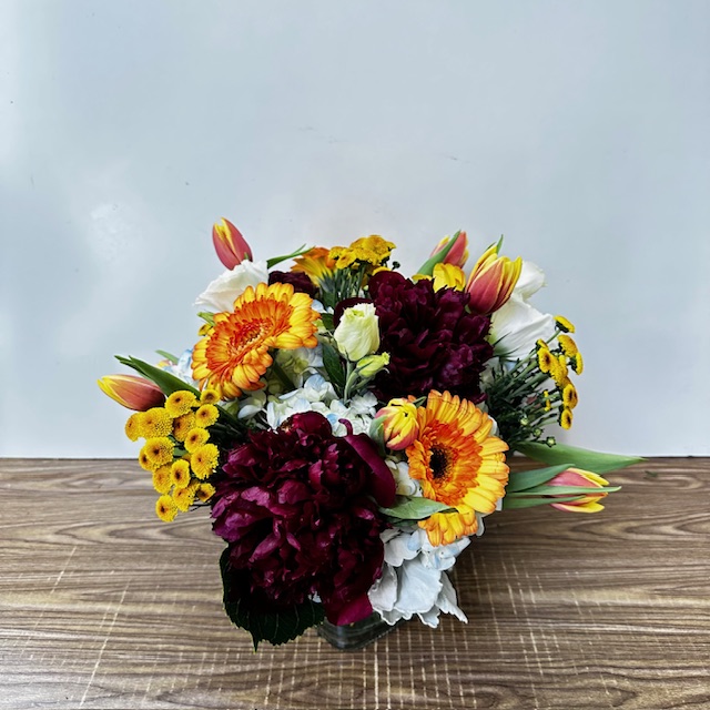 Images Jane's Roses & Flowers