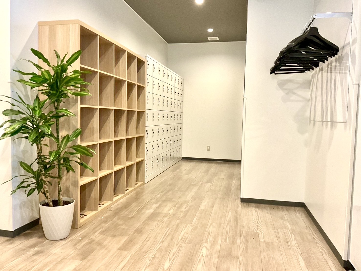 Images エニタイムフィットネス 国府台店