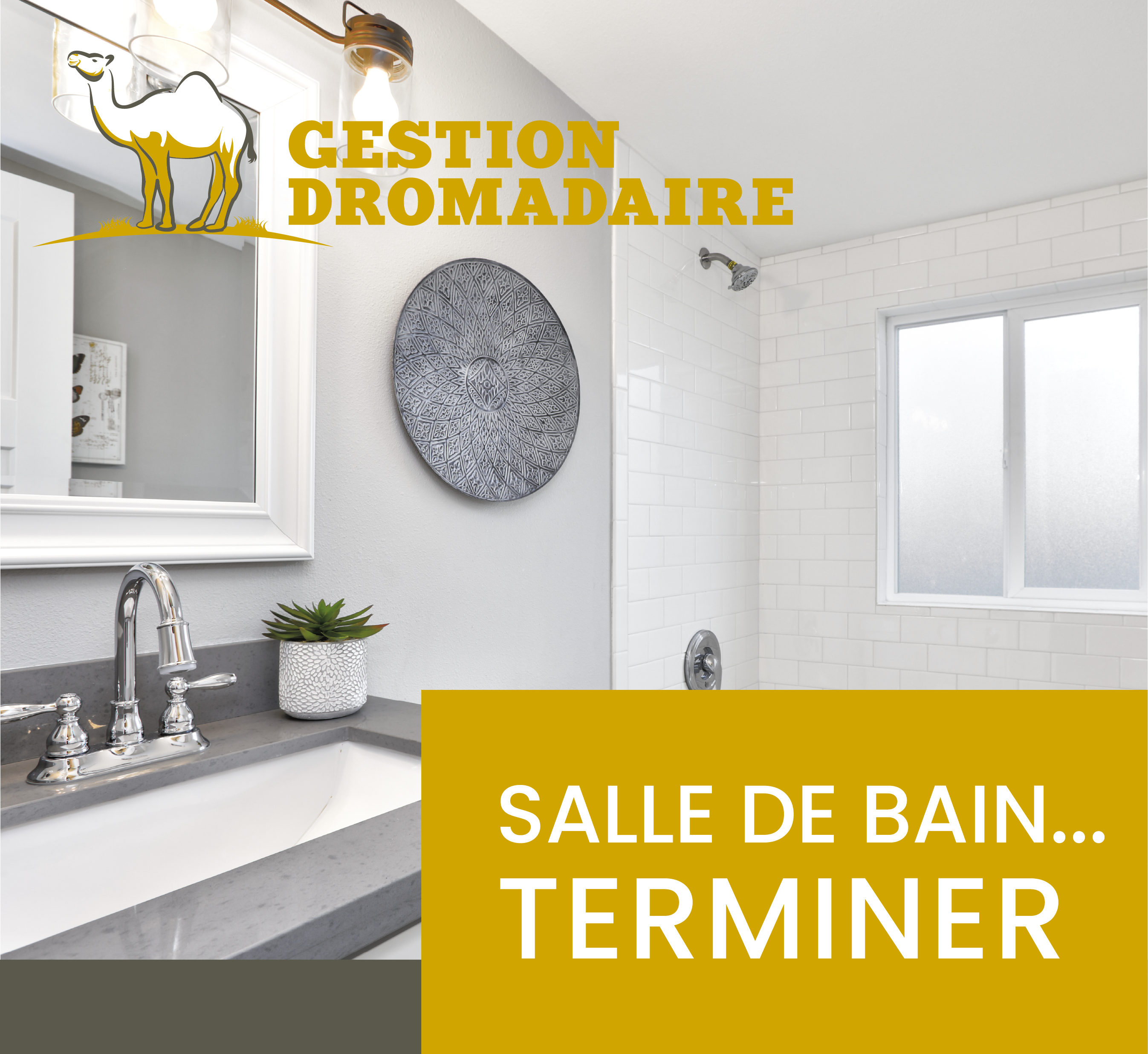 Images Gestion Dromadaire Inc