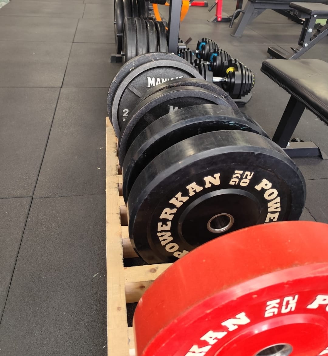 Images Muscle Science