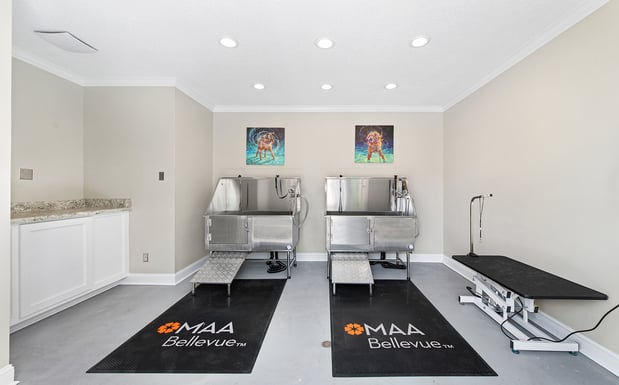 Images MAA Bellevue