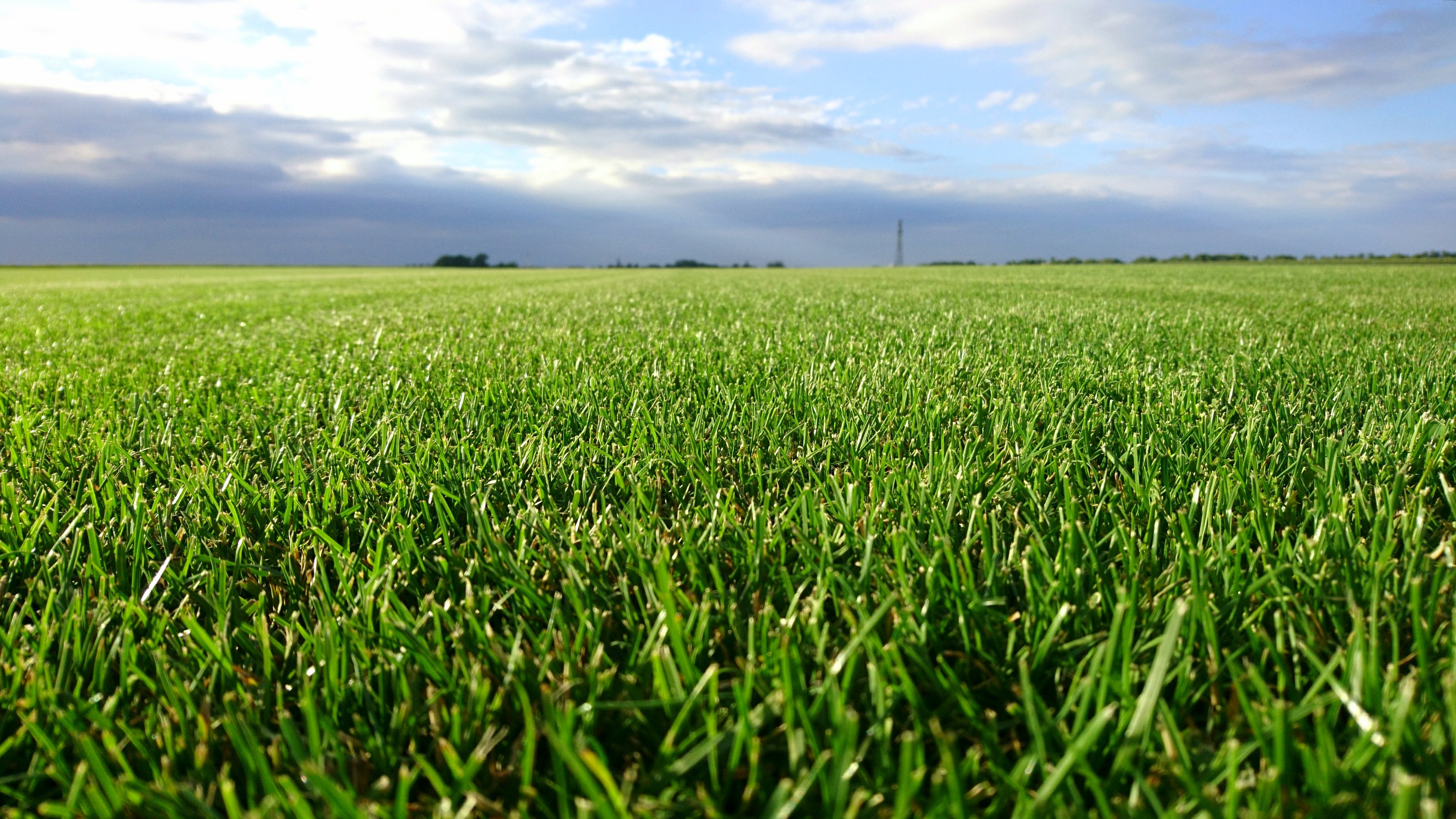 RASENLAND Pattensen Freiherr Knigge GmbH, Lüderser Weg 35 in Pattensen