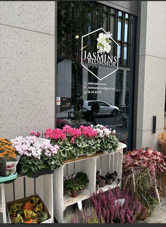Images Jasmins Blommor
