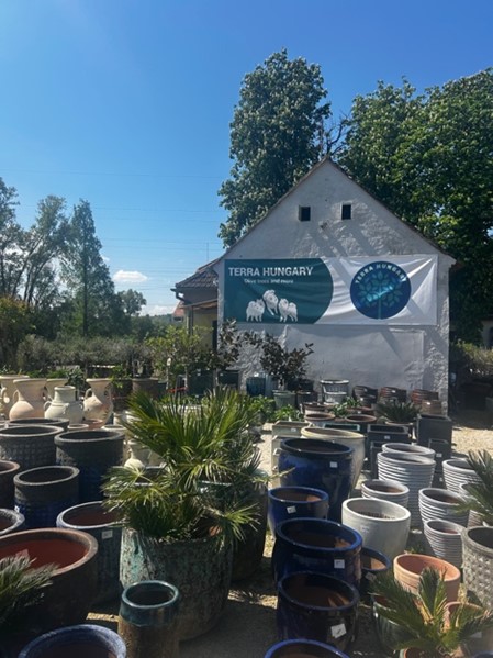 Images Terra Hungary - Olive trees and more