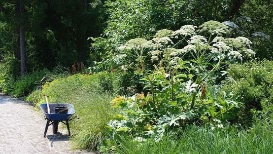 Images Vogt - Maisemointipalvelut