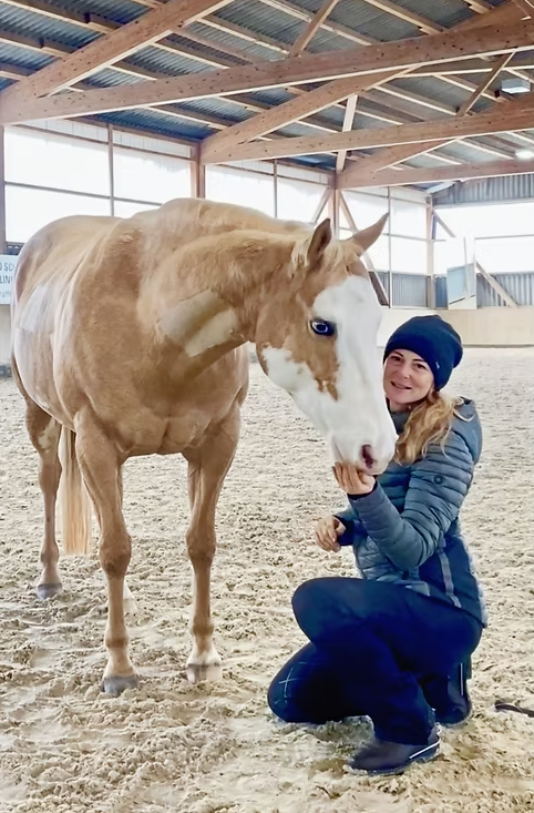 Bilder dm riding Pferdetraining
