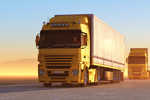 Golomb Transport GmbH, Schillerstraße 24 in Reinbek