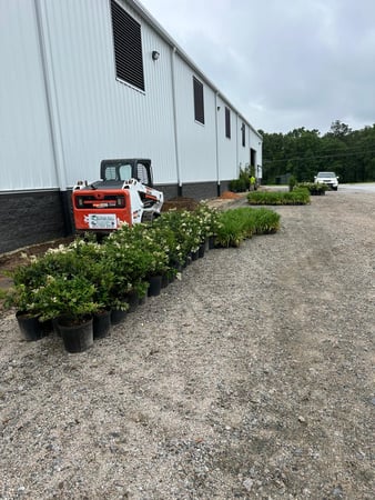 Images Juan Mata Lawn Care Services